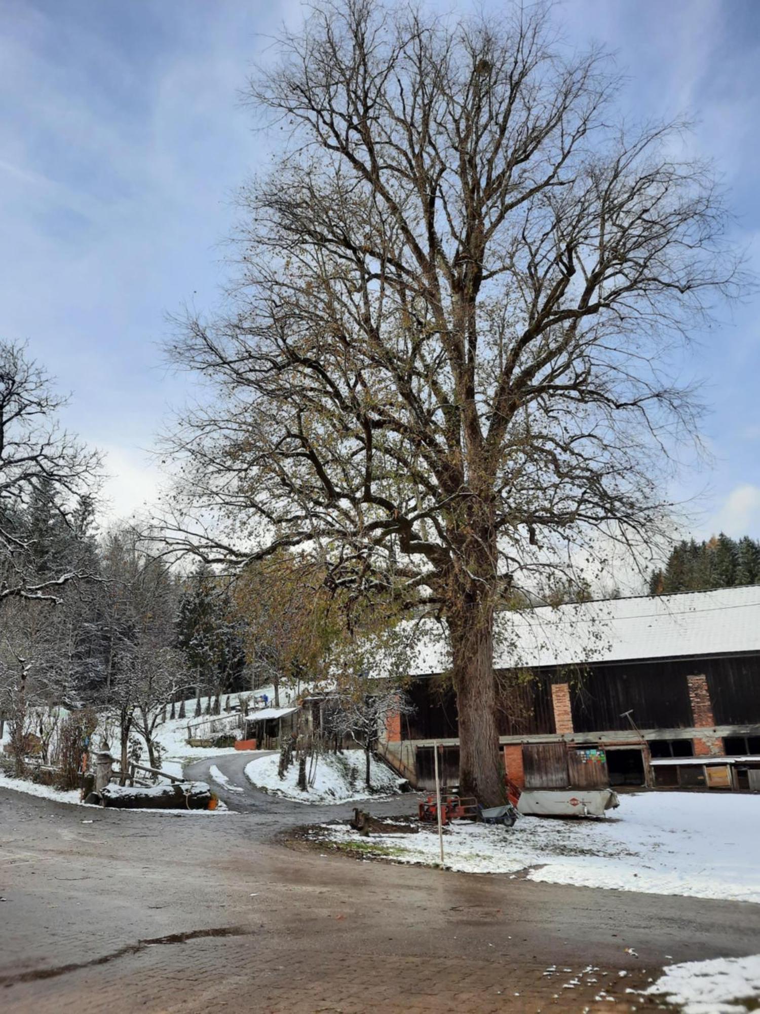Ferienhof Unterkotgraben Familie Schmeißl Spital Am Pyhrn Exterior foto